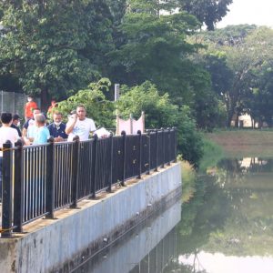 Danau Situ Pulo