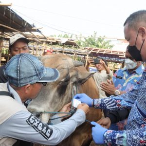 Plt Walikota Bekasi, Tri Adhianto.