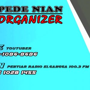 Pede Nian Organizer