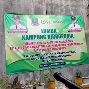 Tanaman Hidroponik