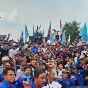 IMG-20251106-0195.jpg (1)