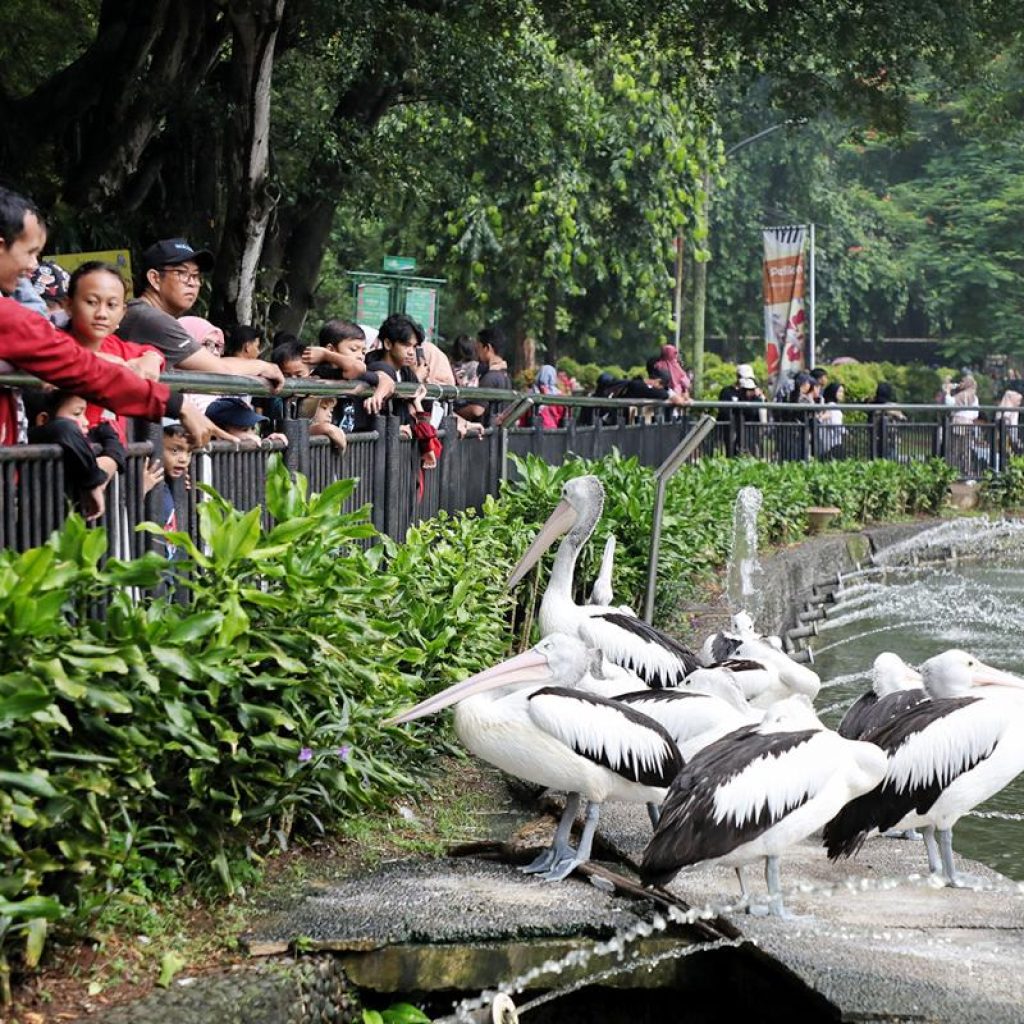 Taman Margasatwa Ragunan