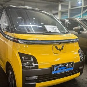 Mobil Listrik Bekas.